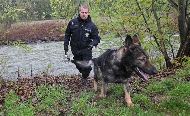 Policejní psovodi se psy prohledávali beh eky Odry poblí Jakubovic nad...