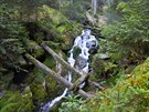 V národní rezervaci Bílá str se nachází nejvyí vodopád na umav.