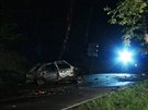 Nehoda u stedoeských Nespek (5. kvtna 2017).