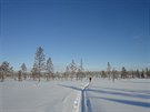 Markéta Peggy Marvanová na trase závodu Lapland Extreme Challenge ve Finsku.