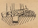 Schéma usazení dlažebních kostek do terénu jako dělicí čára mezi trávníkem a...