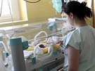 Havlkobrodsk nemocnice se kvli velk rekonstrukci porodnice zaala postupn...