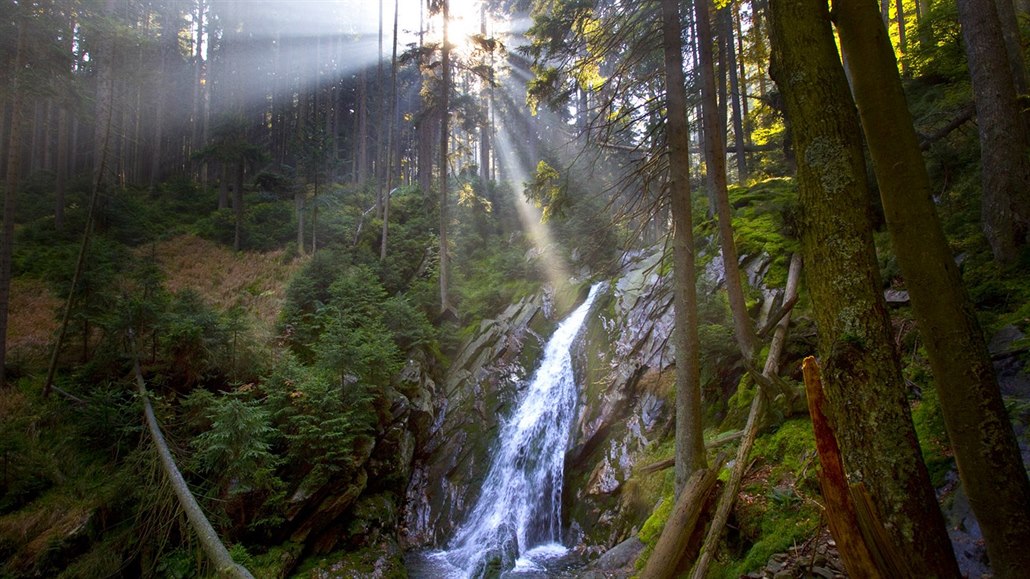 Národní rezervace Bílá strž je ukázkou přirozeného horského biotopu.