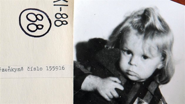 Sokolovský historik Michael Rund pátrá po osudu malého děvčátka ve vězeňské uniformě z fotografie Antonína Bláhy, kterou poprvé spatřil při přebírání pozůstalosti.
