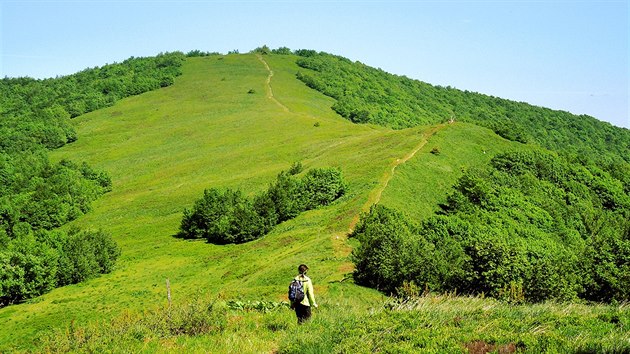 Vrch urkovec (1188 m) vhraninm slovensko-polskm hebeni Bukovskch vrch