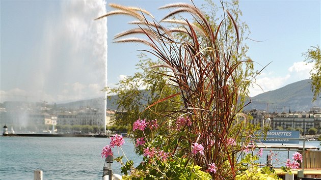 Ženevská klasika: květiny, vodotrysk a v pozadí Alpy