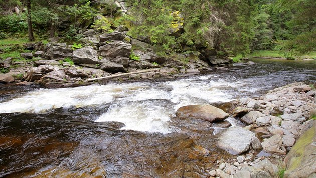 Do nepřístupného kaňonu řeky Křemelné (na snímku) se mohou letos vydat návštěvníci Národního parku Šumava.
