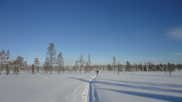 Markta Peggy Marvanov na trase zvodu Lapland Extreme Challenge ve Finsku.