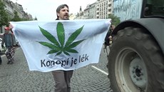 Pochod za legalizaci konopí 2017