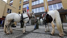 Páte�ní protest fiakrist� p�ed karlovarským magistrátem. (5.5.2017)