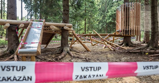 (ilustraní snímek)