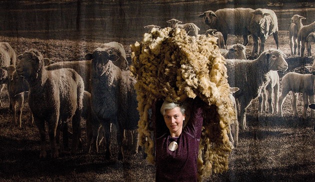 Turnovské muzeum láká v souasnosti na výstavu o ovcích a jejich chovu v...