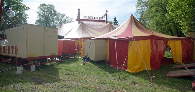 Čtyřletý kluk se sám vydal do cirkusu, dojel tam trolejbusem