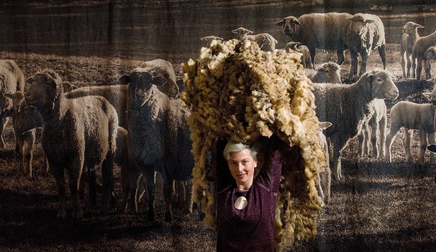 Turnovské muzeum láká v souasnosti na výstavu o ovcích a jejich chovu v...