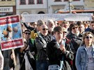 Demonstrace proti ministrovi financí Andreji Babiovi a prezidentu Miloi...