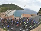 Cyklistický peloton bhem esté etapy Giro d'Italia.