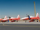 vcarsk skupina Patrouille Suisse na strojch F-5E Tiger II v slavi