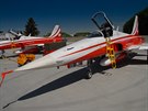 vcarsk skupina Patrouille Suisse na strojch F-5E Tiger II v slavi