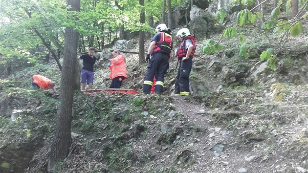 Hasii vyreli k pacientce na Slapech na lunu (17.5.2017).