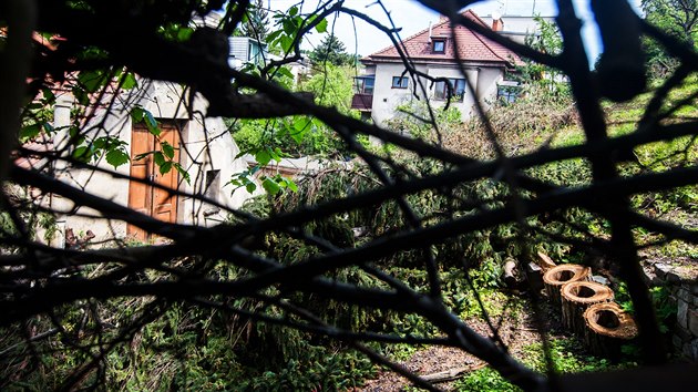 V prask chrnn osad Bunka vykcel majitel jednoho z dom ovocn stromy a smrk (18.5.2017).