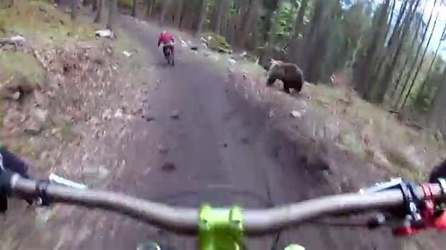 Cyklisty na Slovensku nahnl medvd