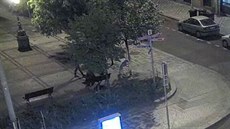 Ti lidé nechali v Praze 5 svého psa, aby zniil strom. Hledá je policie...