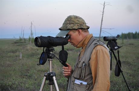 ornitolog Vojtch Kubelka zkoumá v Jiní Americe  bekasinu královskou - ptáka...