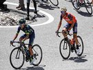 Nairo Quintana (vlevo) s Vincenzem Nibalim bhem osmnácté etapy Gira d´Italia.