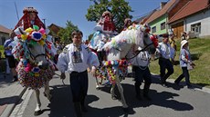Tradi�ní Jízda král� je zapsaná i na seznamu UNESCO. Symbolickou vládu p�evzal...