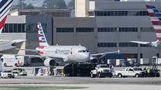 Na mezinárodním letiti v Los Angeles se srazil Boeing 737 spolenosti...