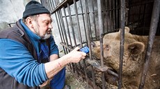 Medvdice Kateina zemela v úctyhodném vku 32 let.