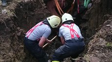 Hasii v Borohrádku po nkolika hodinách vyprostili kon ze studny (24. 5....