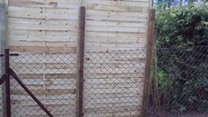 Sousedé postavili dvacet centimetr� od nového plotu svou verzi soukromí. 
