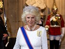 Vévodkyn z Cornwallu Camilla (Londýn, 4. ervna 2014)