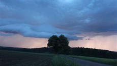 Takzvaný shelf cloud často doprovází bouřkové systémy se silným větrem. Odborně se mu říká oblak arcus a slangový název je húlavový límec - doprovází zesílení větru při příchodu bouřek, kterému se říká húlava.