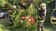 Na Smíchov spadl strom na zaparkovaná auta (31.5.2017).