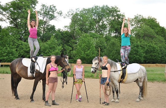 Paravolti je gymnastika na koni pro handicapované osoby s rzným druhem i...