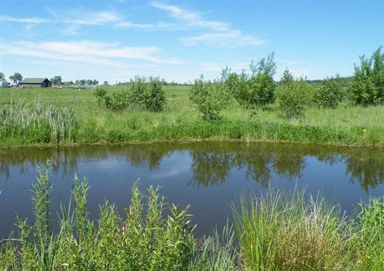 Rybníček (30×7m) si navrhl a osázel vodními rostlinami Milan sám.