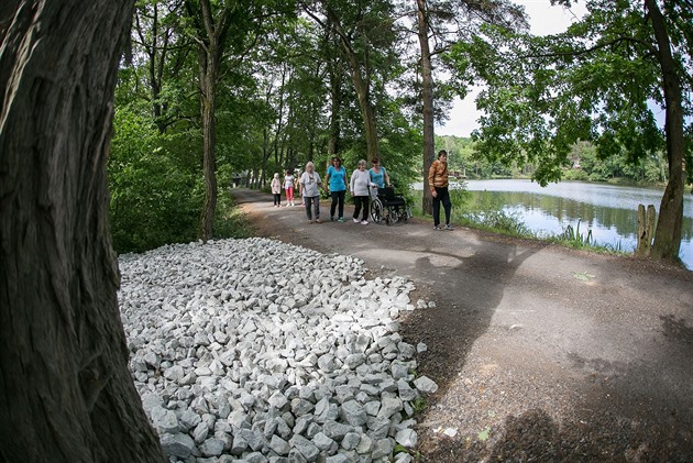 Oblíbený Mrhal má problém, hrází rybníka u Budjovic prosakuje voda.