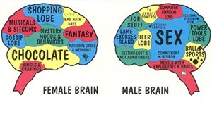 Zarážející rozdíly mezi mužským a ženským mozkem