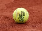 Tenisový míek bhem paíského Roland Garros.