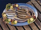 Gardské ryby v nabídce restaurace Vecchia Lugana Trattoria ve městečku Sirmione