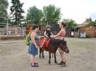 Nejmladší, tříletý jezdec klubu jezdí na poníkovi od 2,5 roku.