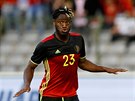 Belgický útoník Michy Batshuayi se raduje z gólu proti esku.