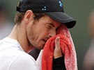 Andy Murray si otírá pot z ela bhem zápasu s Martinem del Potrem.