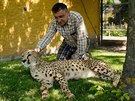 Gepardice Mzuri s editelem chlebské zoo René Frakem (2.6.2017).