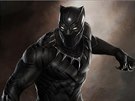 Hrdina filmu Black Panther