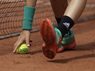 Sbra míku na tenisovém Roland Garros v akci