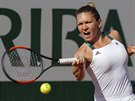 Simona Halepová v semifinále Roland Garros