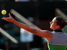 Karolína Plíková podává v semifinále Roland Garros.